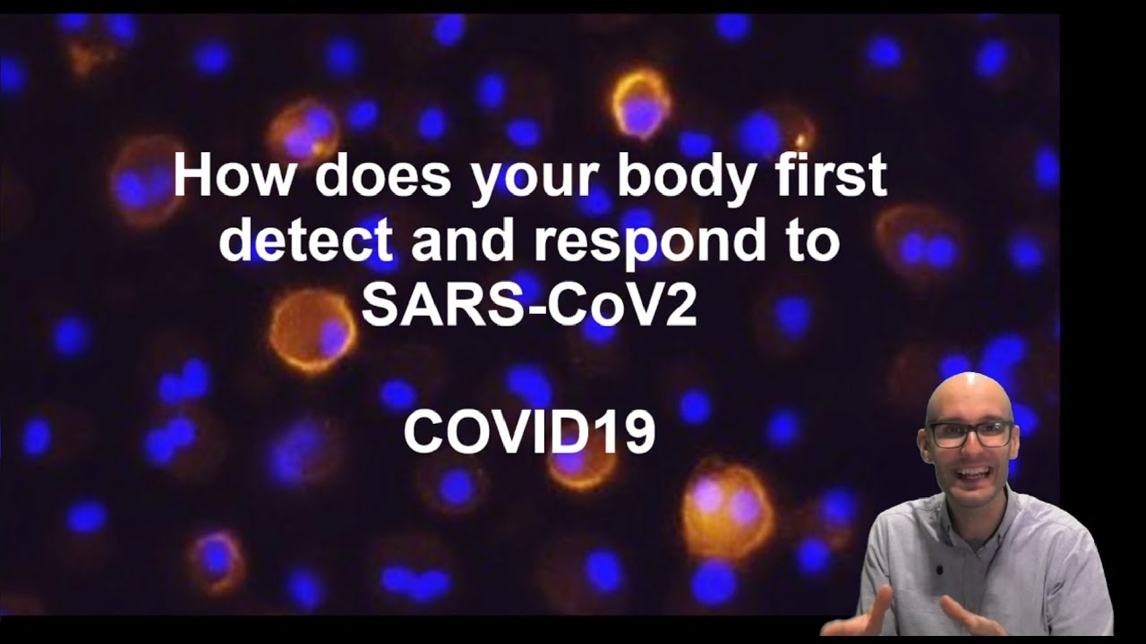 The innate immune response to SARS CoV2 - detection and signaling!