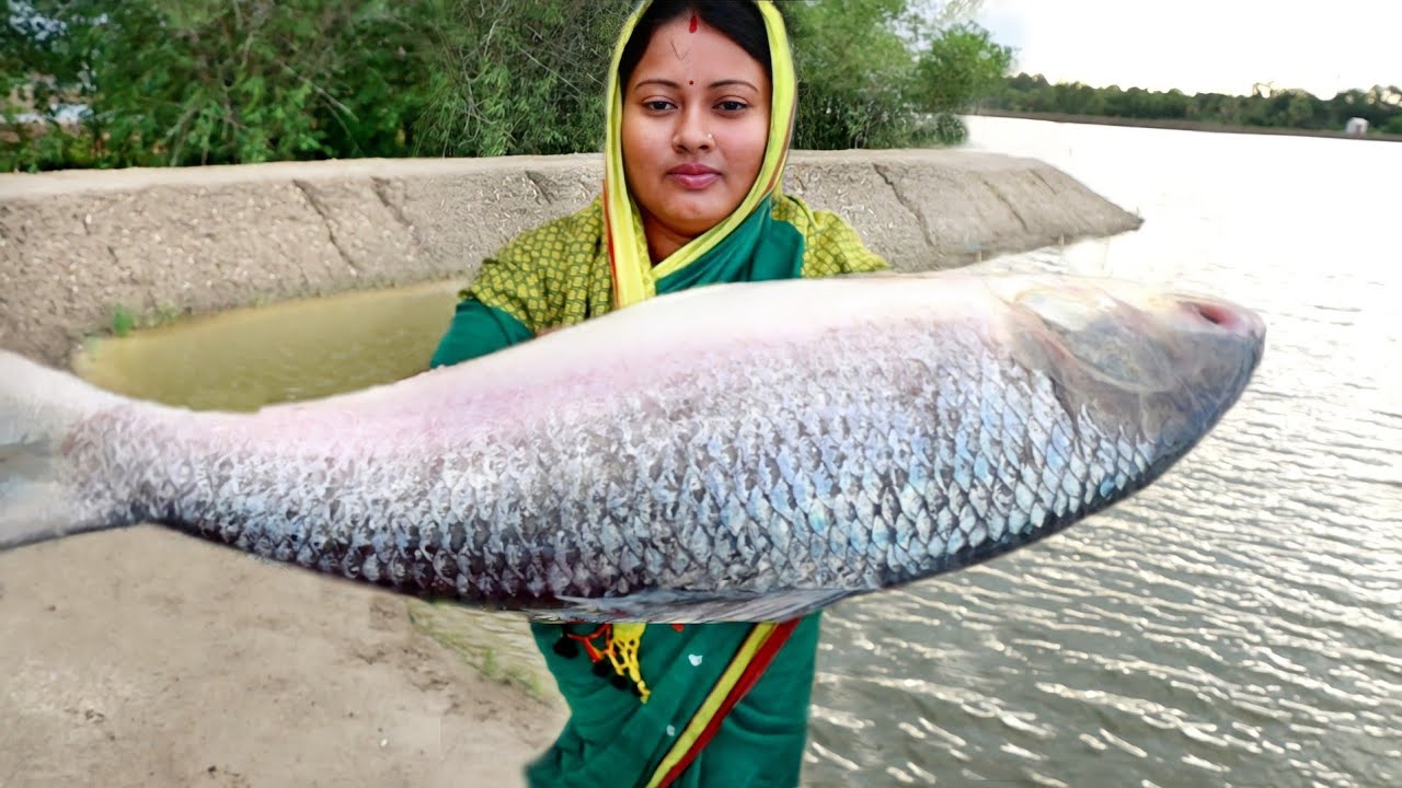 জীবনে এই প্রথমবার এত বড় পদ্মার ইলিশ মাছ দেখলাম আর কেটে রান্না করলাম||hilsha fish cutting &cooking