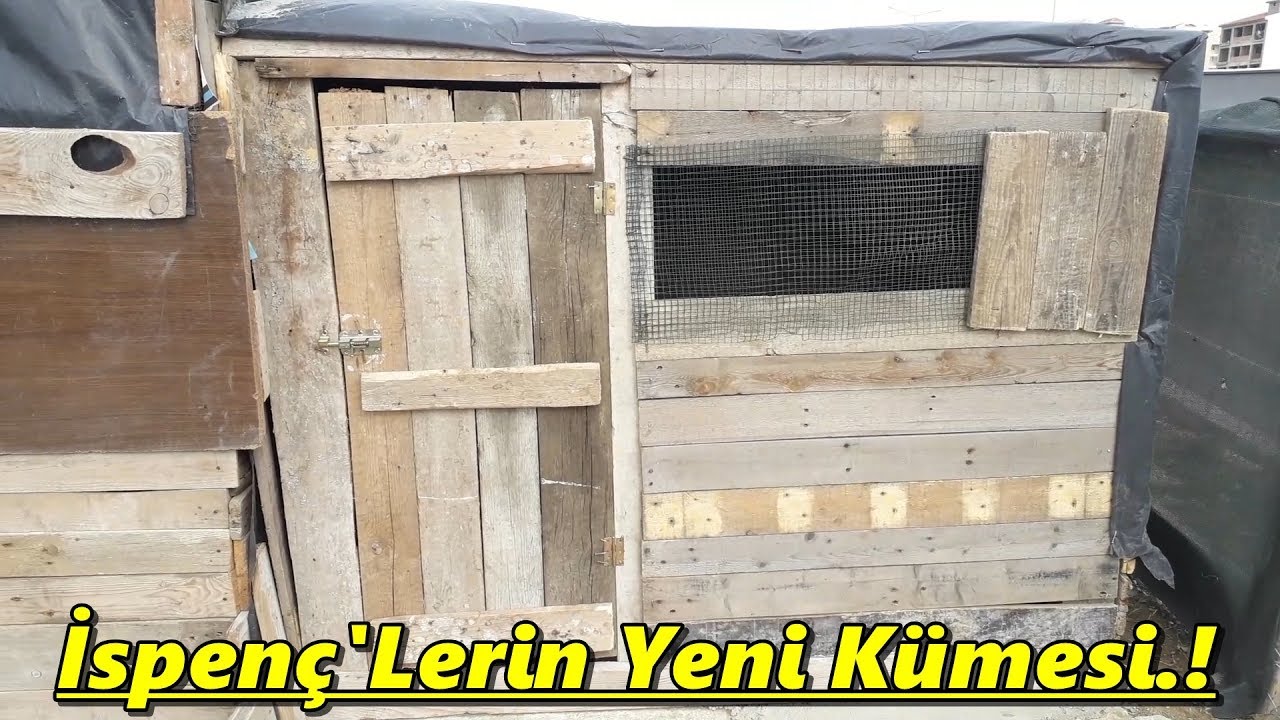Yeni Kümesimiz Bitti.!İspenç'Lere Özel Kümes.!#Tekirdağ