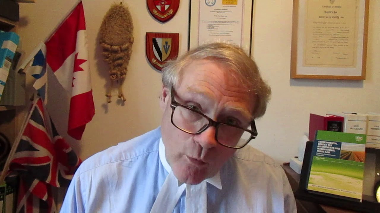 Phillip Taylor MBE review. Environmental Border Tax Adjustments and International Trade Law