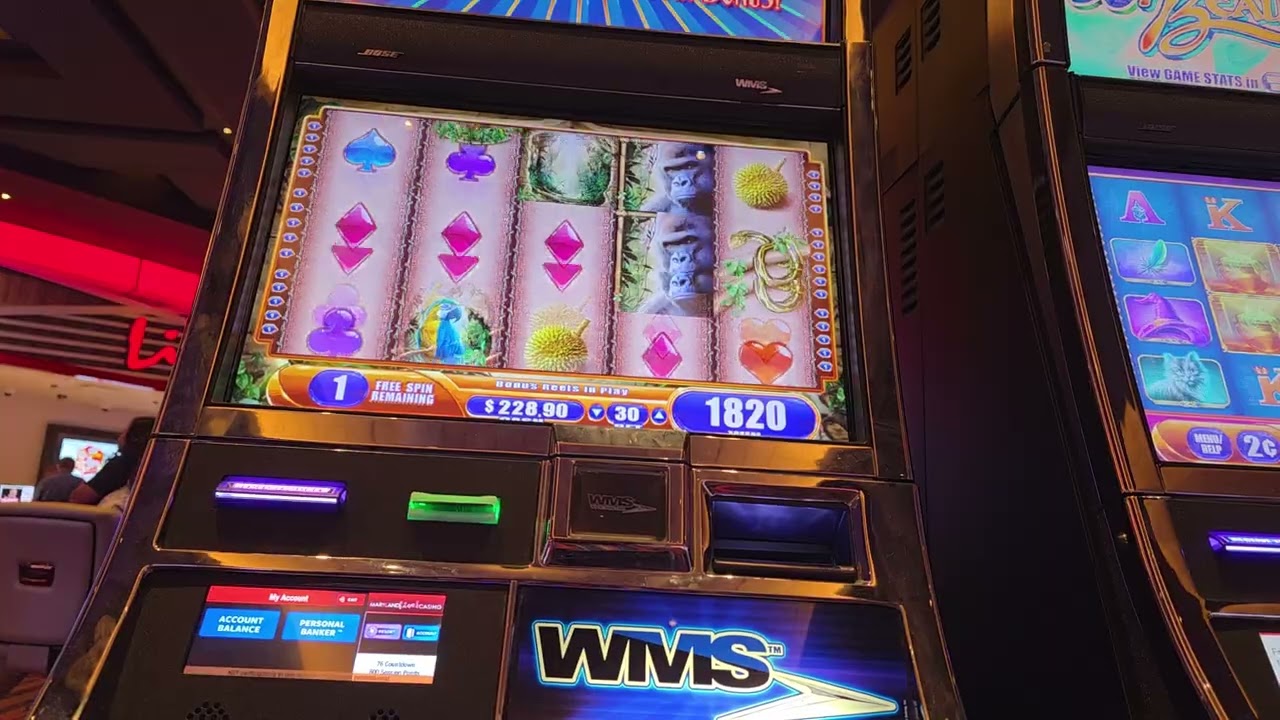 Queen of the Wild... Very Mega Big Win