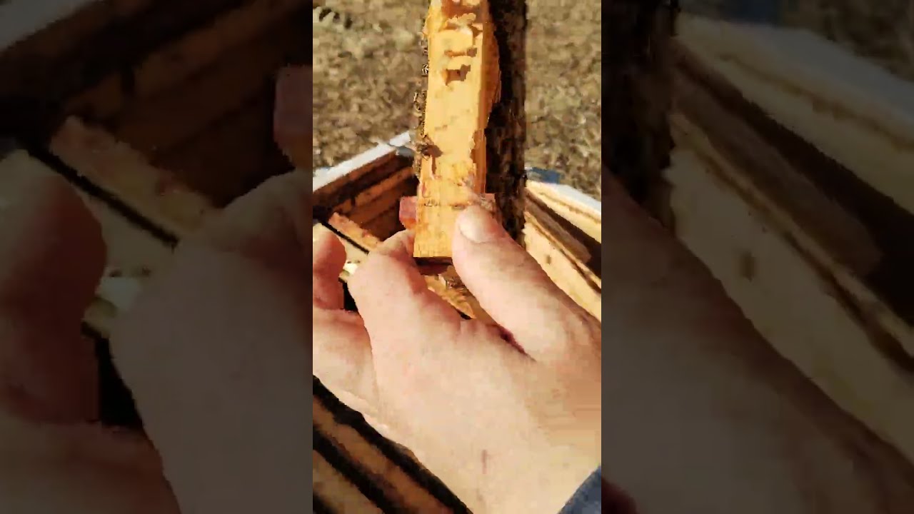Cat de tare stimulează mierea cristalizată. Aproape deloc