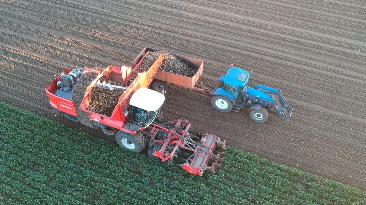 Beet harvest with Holmer