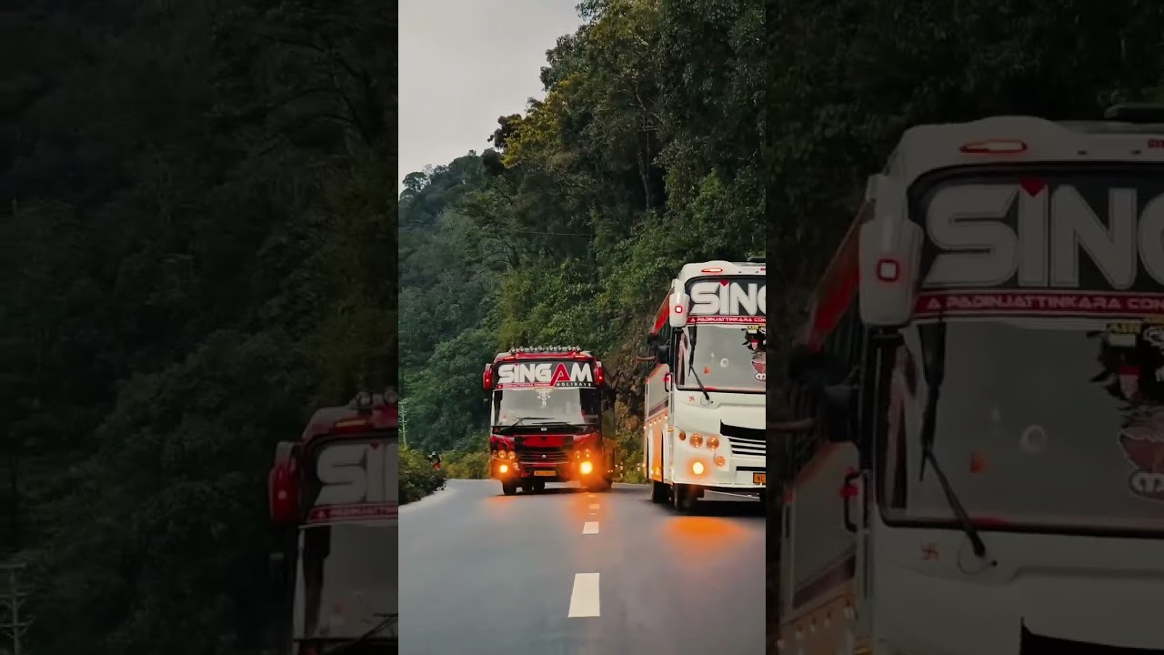 SINGAM HOLIDAYS #bus#kerala #travel#bustravels #share  #keralabuslovers #driver  #shortvideo #shorts
