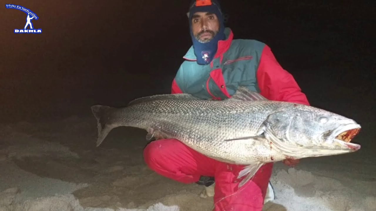 Dakhla p&ecirc;che courbine 24 kg avec Rayss Sbaii Abdalilahe