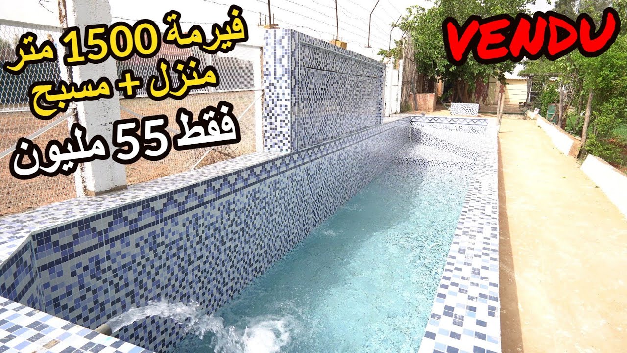 ✨ صغيرة ولكن مريحة فيرمة 1500 متر بمنزل مجهز و مسبح خاص و والاشجار المنتجة ✨ تيفلت