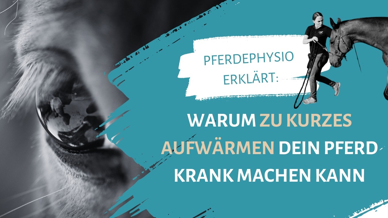 Warum zu kurzes Aufwärmen dein Pferd krank machen kann