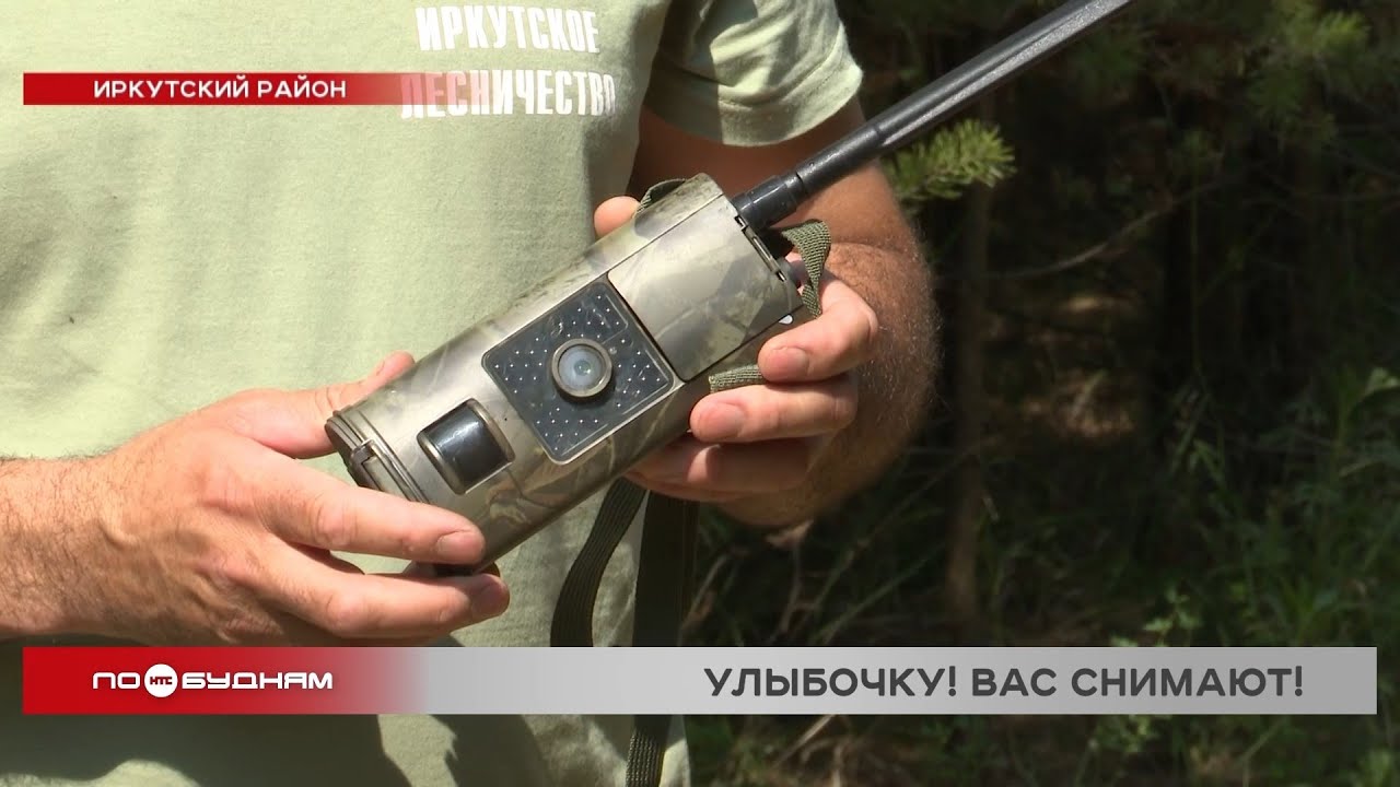 Фотоловушки помогают выявлять 
