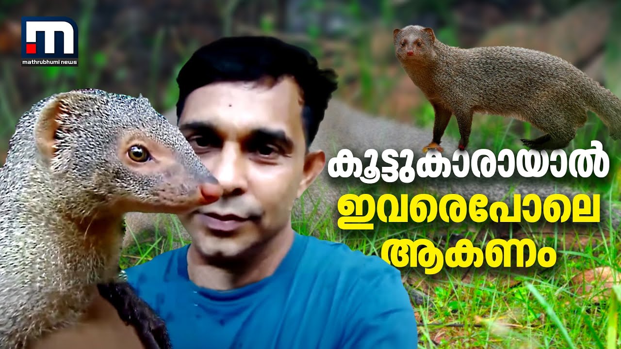 കൂട്ടുകാരായാല്‍ അബ്ദുള്‍ ഗഫൂറിനെയും നൂറിയെയുംപോലെ ആവണം| Mathrubhumi News