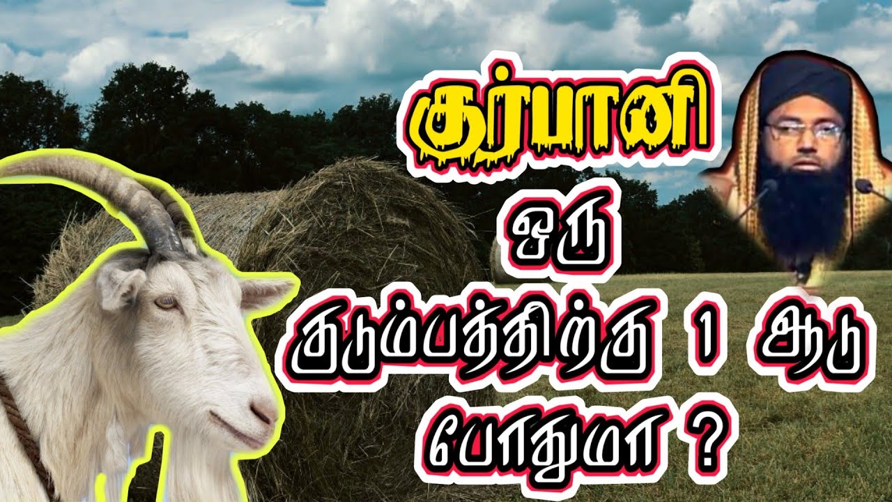 #குர்பானி ஒரு குடும்பத்திற்கு ஒரு ஆடு போதுமா ? ● tamilbayan kelvipathil