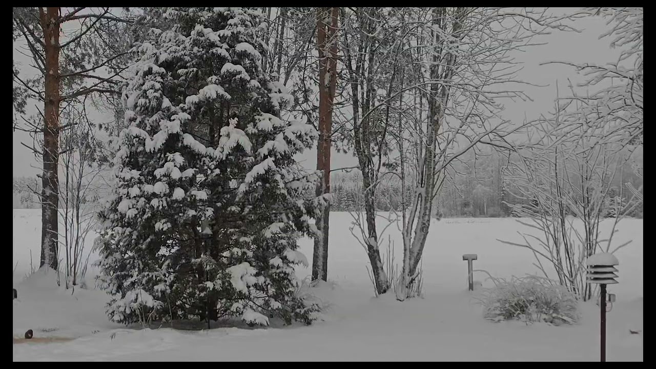 Talvea pitelee ❄️🇫🇮 Winter in Finland ❄️ #winter #natureinfinland #finland #snow  
