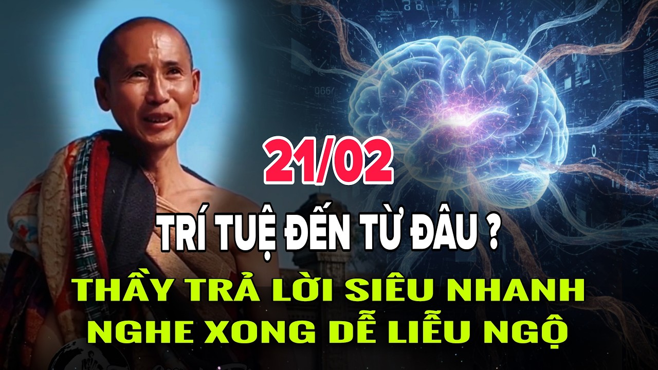21/01 Thầy Minh Tuệ Trả Lời Câu Hỏi Nghe Xong Dễ Liễu Ngộ - Trí Tuệ Đến Từ Đâu?