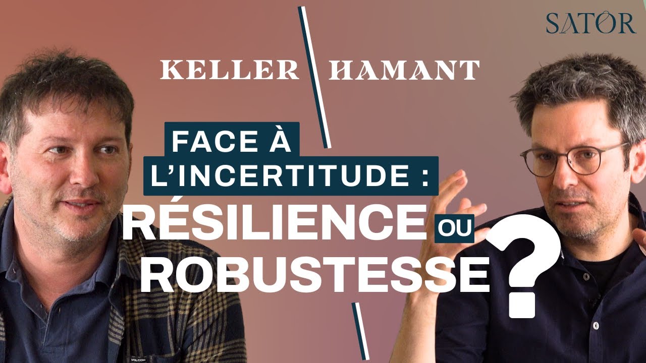ARTHUR KELLER - OLIVIER HAMANT I Pour une approche syst&eacute;mique : r&eacute;silience ou robustesse ? (D&Eacute;BAT)
