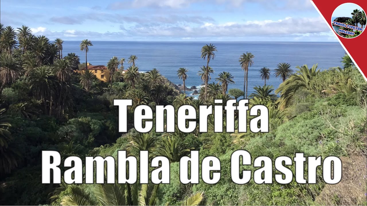 Teneriffa - Rambla de Castro - Wanderung vom Mirador San Pedro zum Palmen-Paradies. Reisetipp!