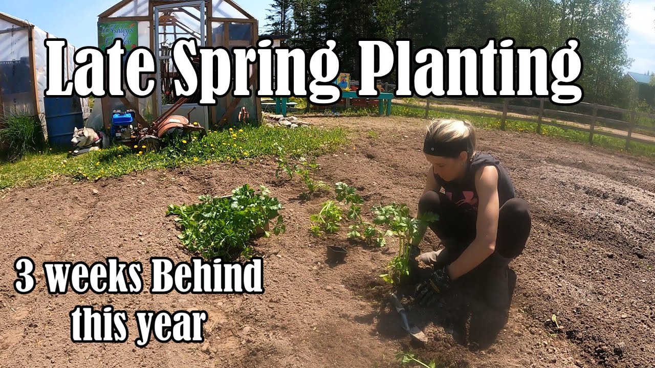 Late Spring Planting