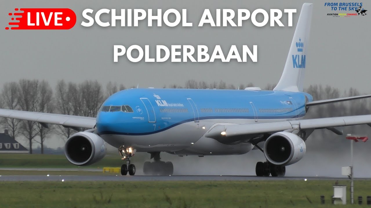 LIVE - SCHIPHOL AIRPORT PLANESPOTTING