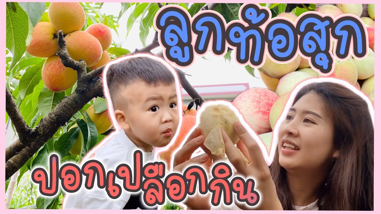 Ep.71 เก็บลูกท้อกินสดๆ ที่สวนชนบทจีน🇨🇳 | สะใภ้จีน 泰国人在中国 Anhui China 🇨🇳