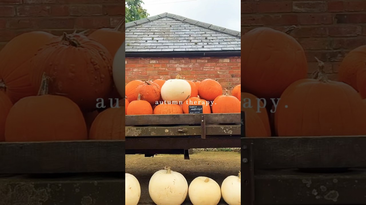 Slow Living in the English Countryside | Autumn Therapy 🍂 #slowliving #cottagecore #mindfulliving