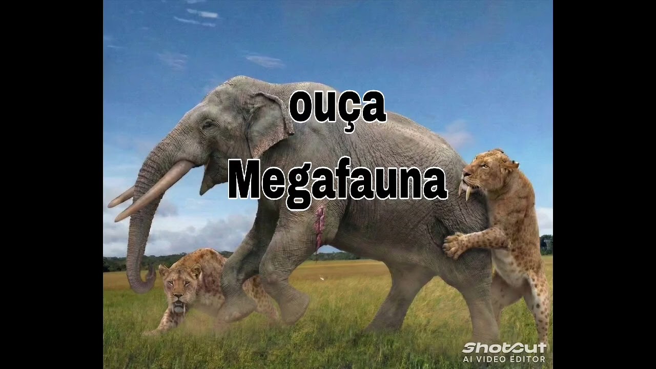 Música: Megafauna 