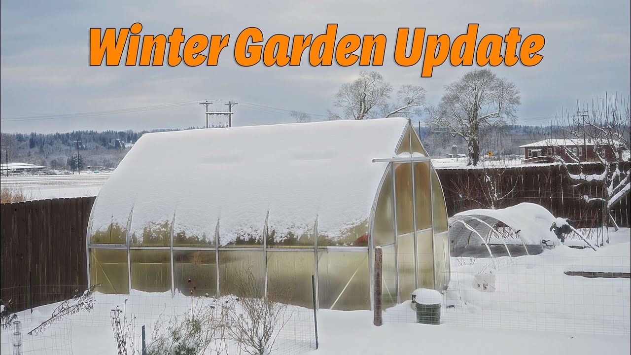 Snowy Garden Update