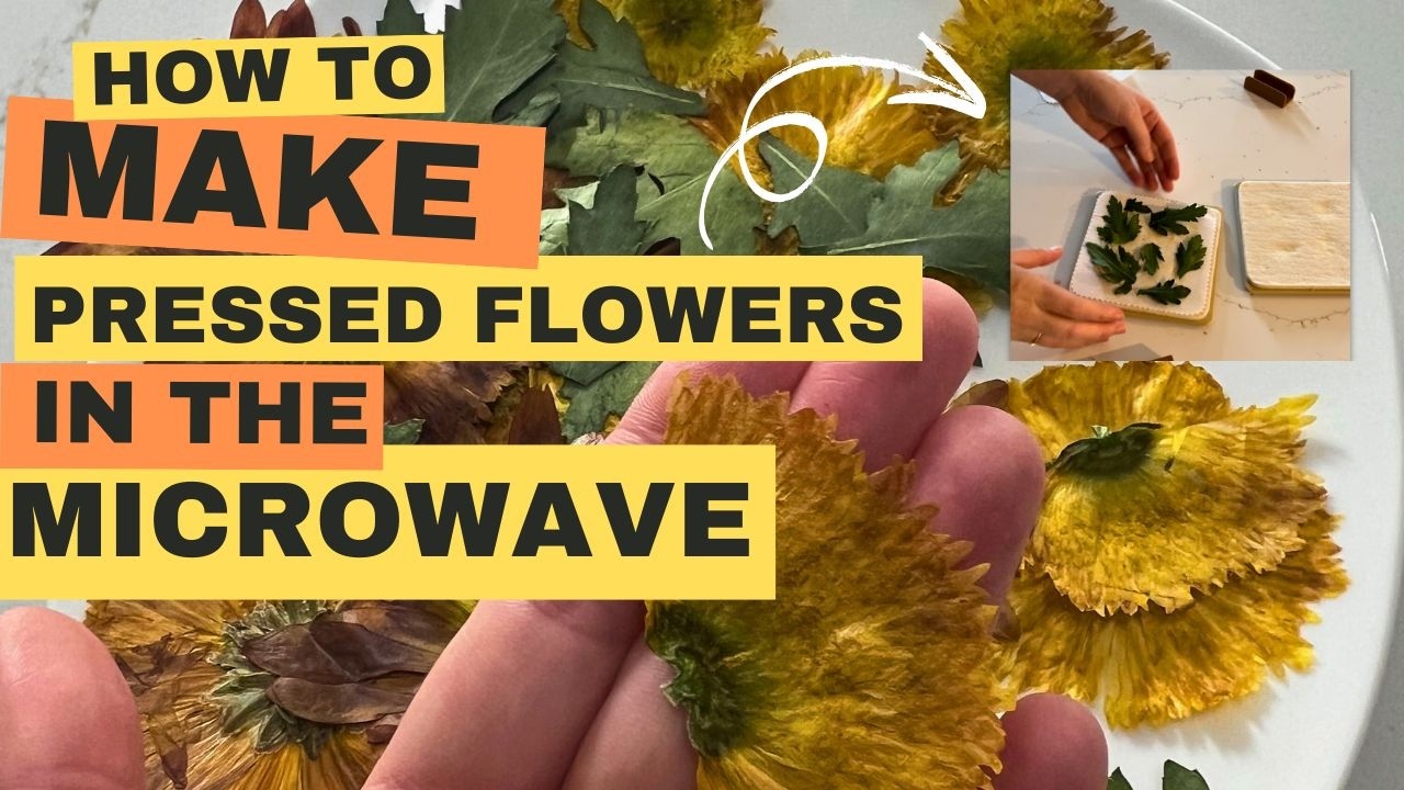How to press flowers in the microwave