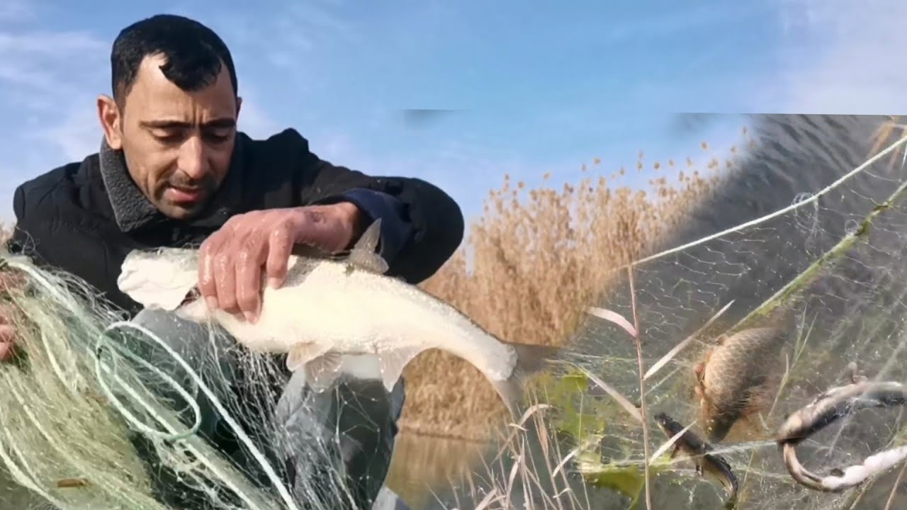 اليوم صيد امشكل ان شاء الله يعجبكم صيد السمك