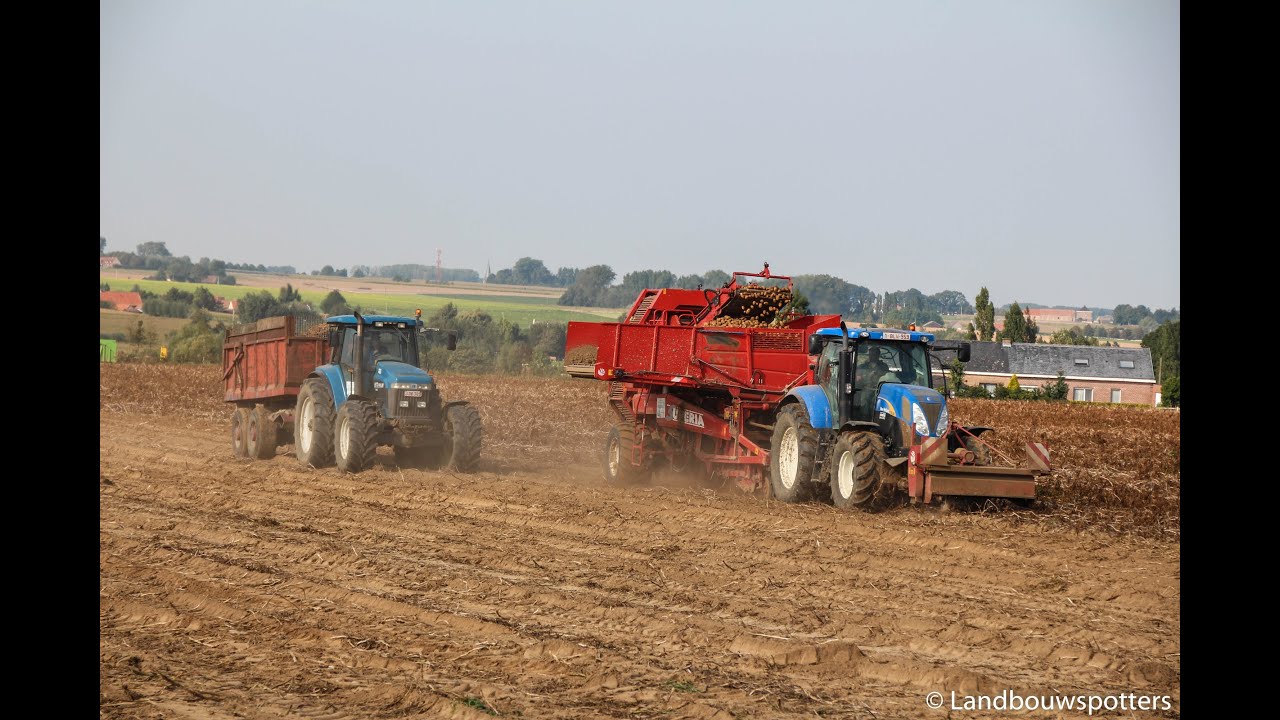 New Holland T6030 aardappelen rooien 2013 - De  Visscher uit Oudenaarde