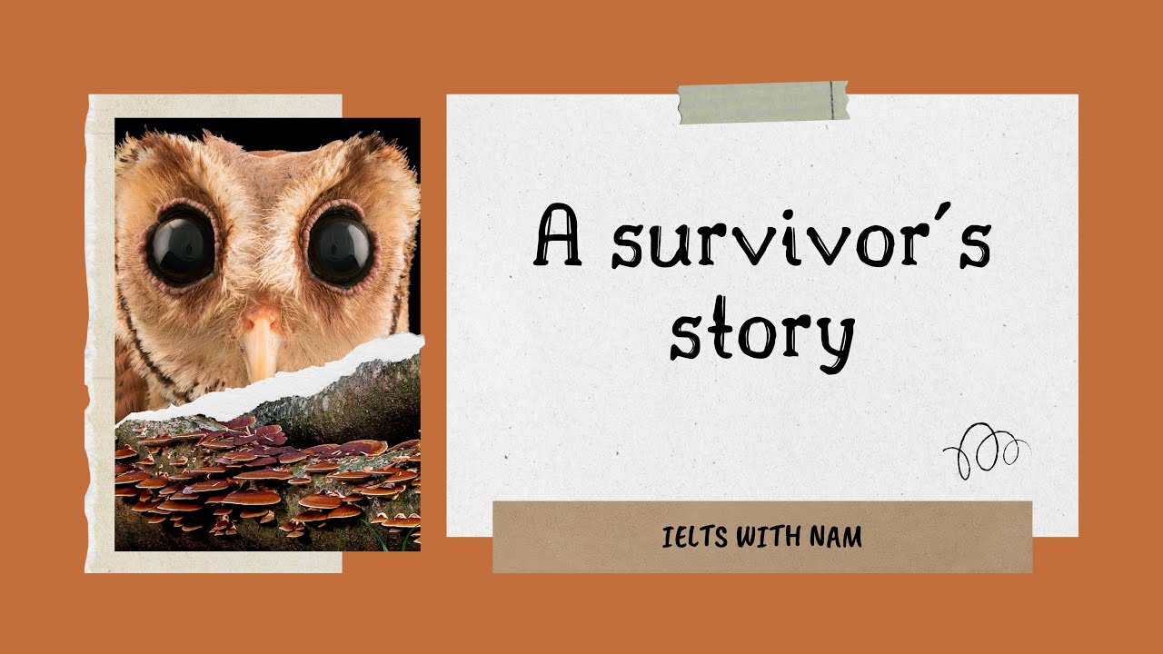 Giải chi tiết IELTS Reading Practice Test 1 Passage 1 | A survivor's story