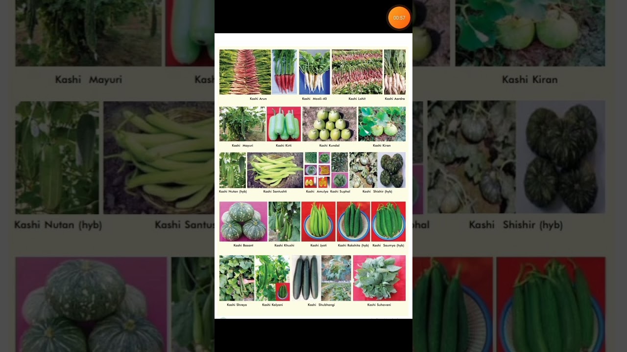 New Releases Variety of Vegetable Crops from ICAR IIVR