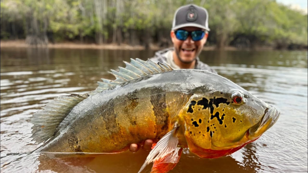Os GIGANTES TUCUNARÉS AÇÚS DE SANTA ISABEL DO RIO NEGRO | Episódio Único | KALUA BARCO HOTEL