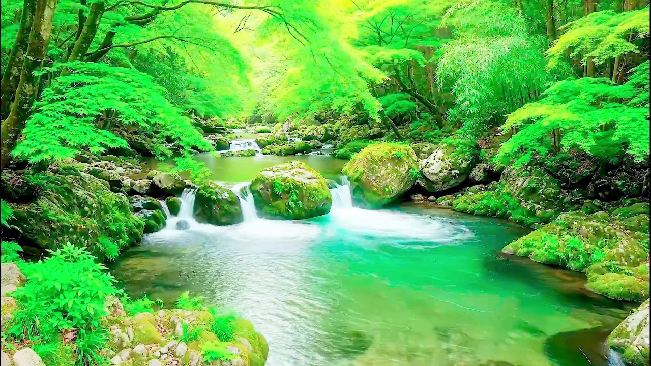 Calming River Sound for Deep Sleep | Natural Healing Ambience for Health and Peace