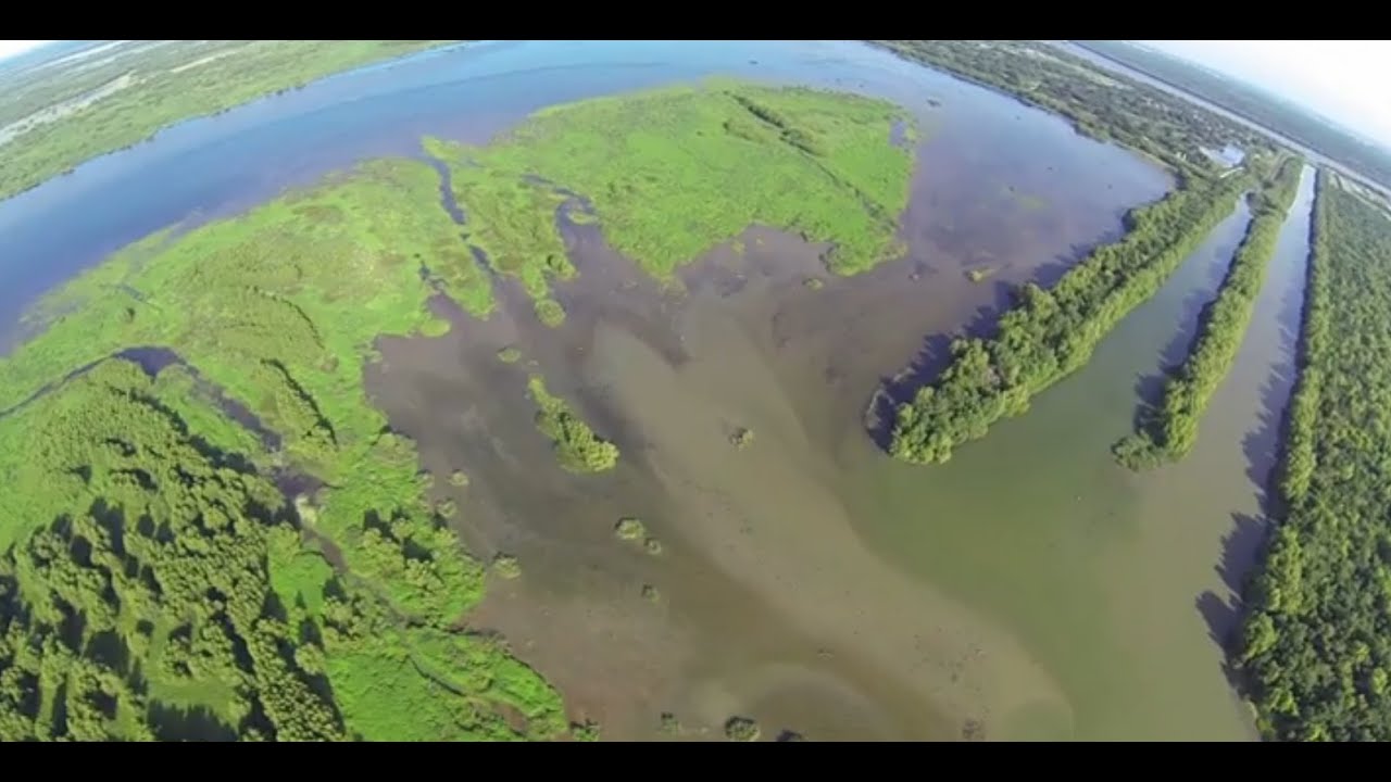 Bayou Bonjour: Caernarvon Freshwater Diversion Builds Land in Coastal Louisiana