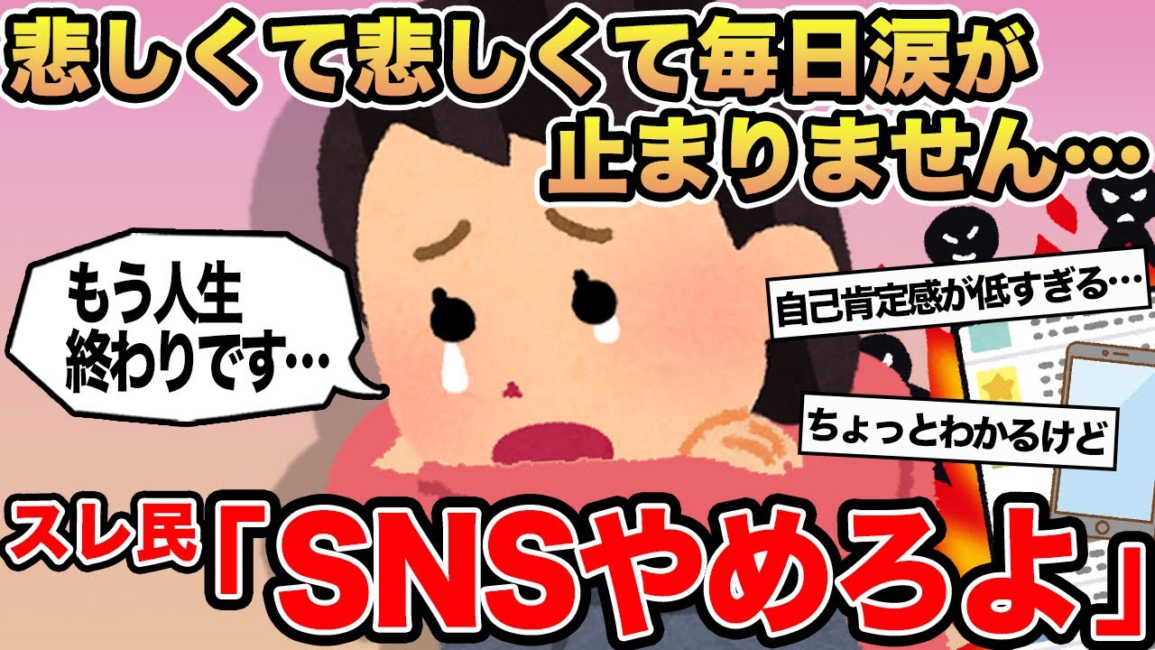 【報告者キチ】悲しくて悲しくて毎日涙が止まりません...→スレ民「SNSやめろよ」