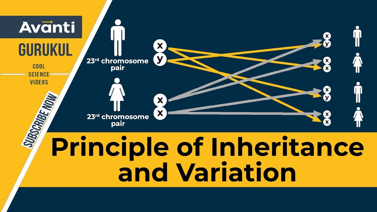 12B05 - Principles of Inheritance and Variation - Introduction to inheritance & variation