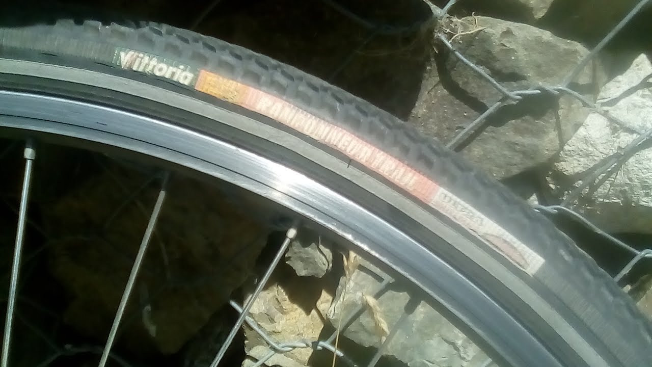 Bontrager Insight vs Vittoria Randonneur Bike Tire Review