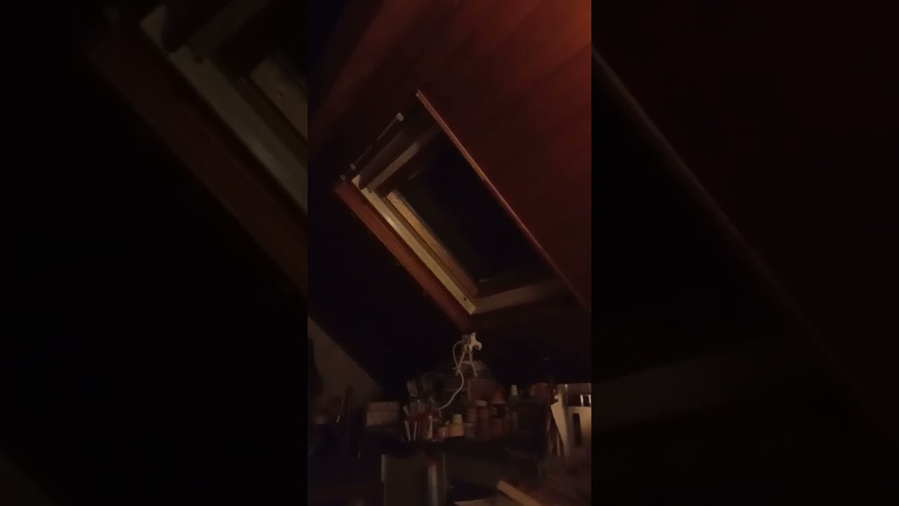 vidéo nocturne temps très perturbé dehors 🙉et nuit perturbe un coucou nocturne 🙏🫶👋