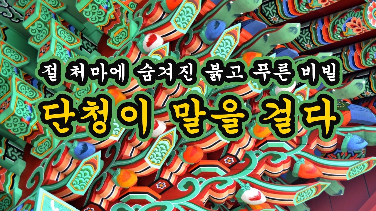 절 처마 끝에 숨겨진 붉고 푸른 비밀, 단청이 말을 걸다.