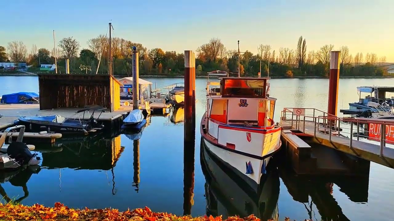 Schierstein Harbor - Germany - Wiesbaden 🇩🇪 walking tour