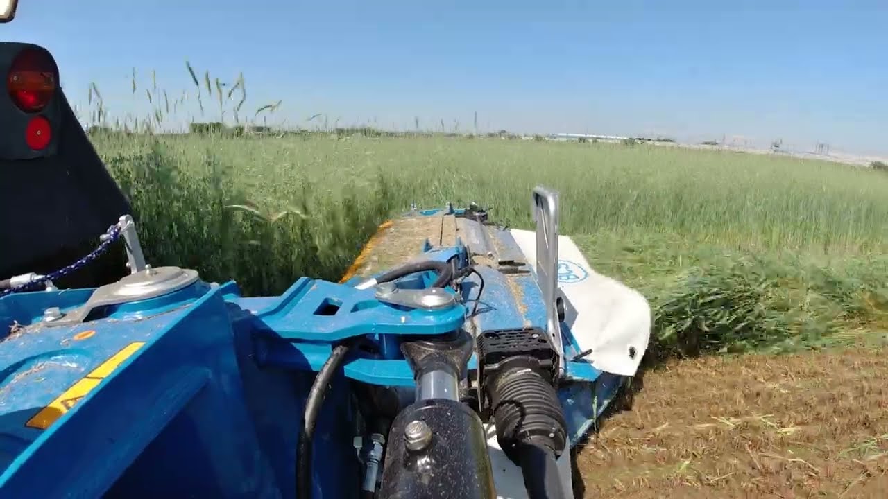 Segadora de discos suspendida BCS Dynamix R8