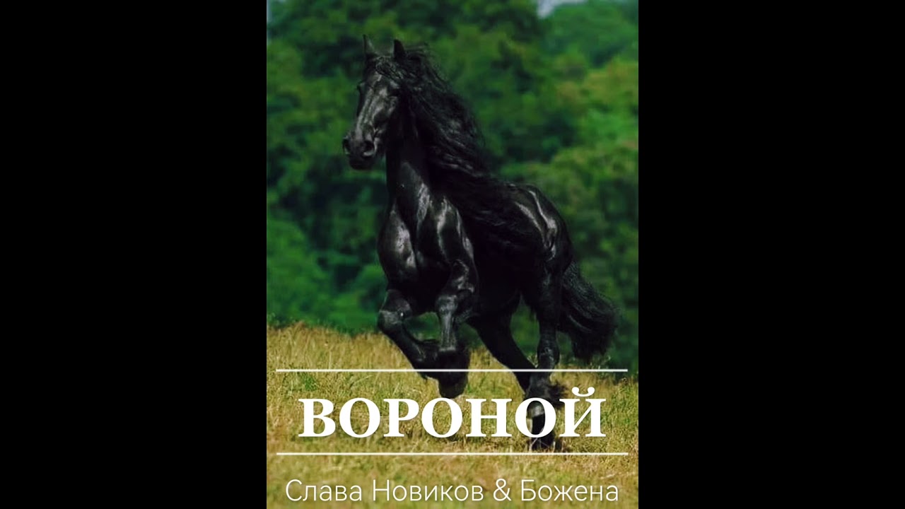 Слава Новиков & Божена - Вороной (кавер на песню Олега Газманова и Тамары Гвердцители)