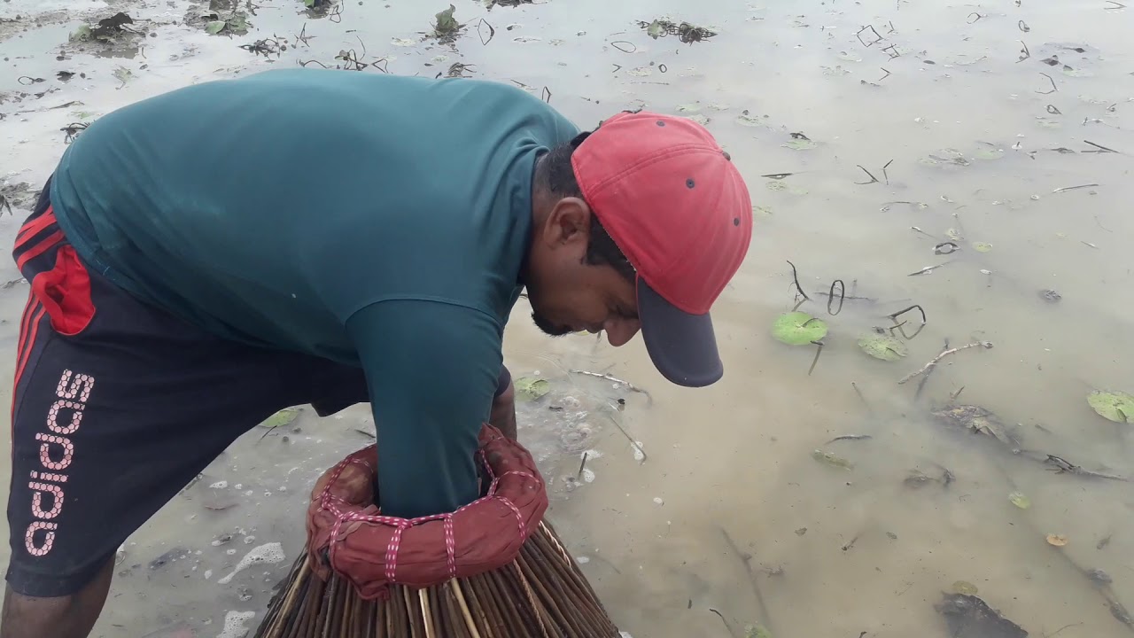 pegando peixe parte 2.