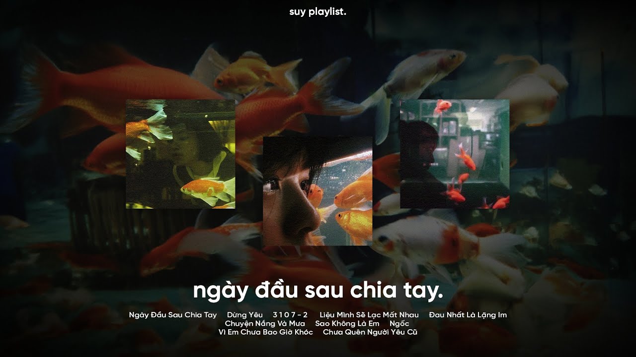 Playlist này Suy...Ngày Đầu Sau Chia Tay, Dừng Yêu, 3107 2 - Nhạc Trẻ Buồn Tâm Trạng 2024
