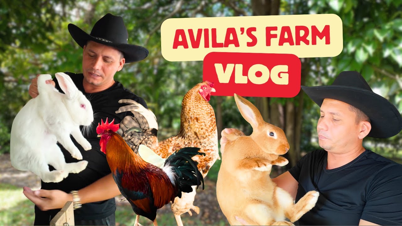 🌳Bienvenidos a la FINCA!!! 🐓 Quieres ver los animales?! 🐇