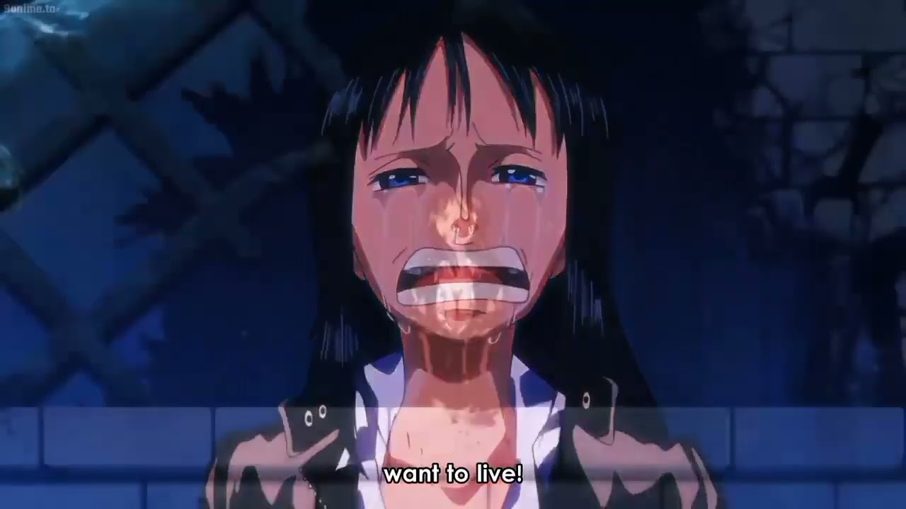 One Piece AMV - Warriors