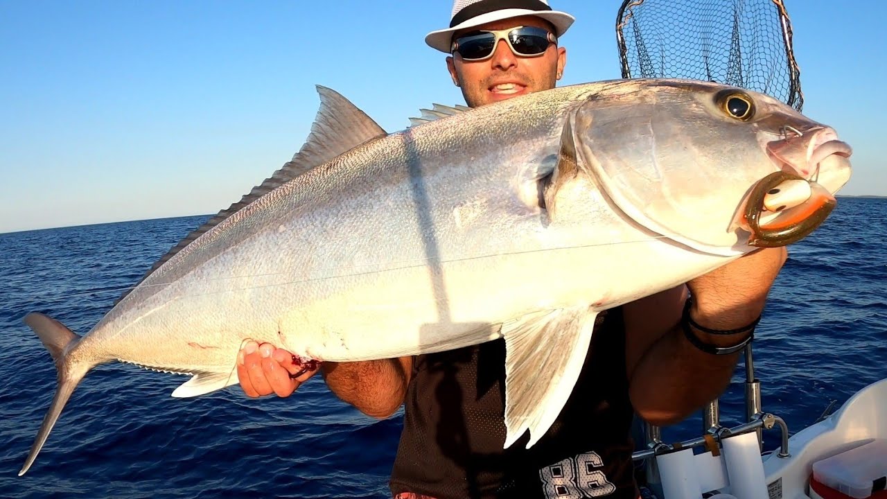 Ricciola con il Black Minnow