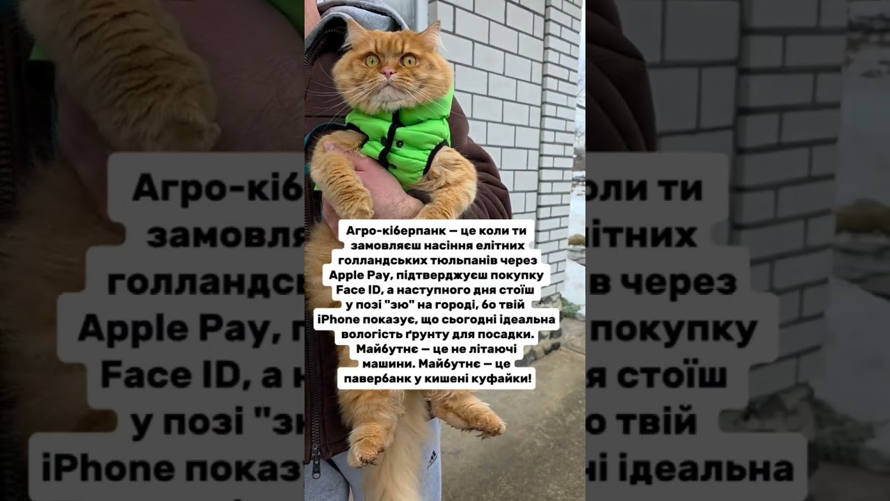 Майбутнє #гуморукраїна #жартиукраїнською #відеодня #веселівідео #кітблогер #cat