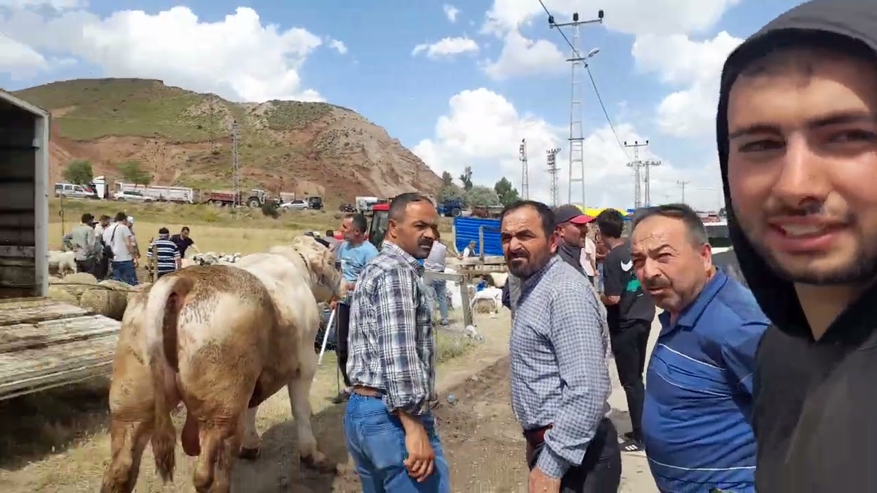 SİVAS KURBAN PAZARI FİYATLAR BÖLÜM 1/ 14 HAZİRAN 2024