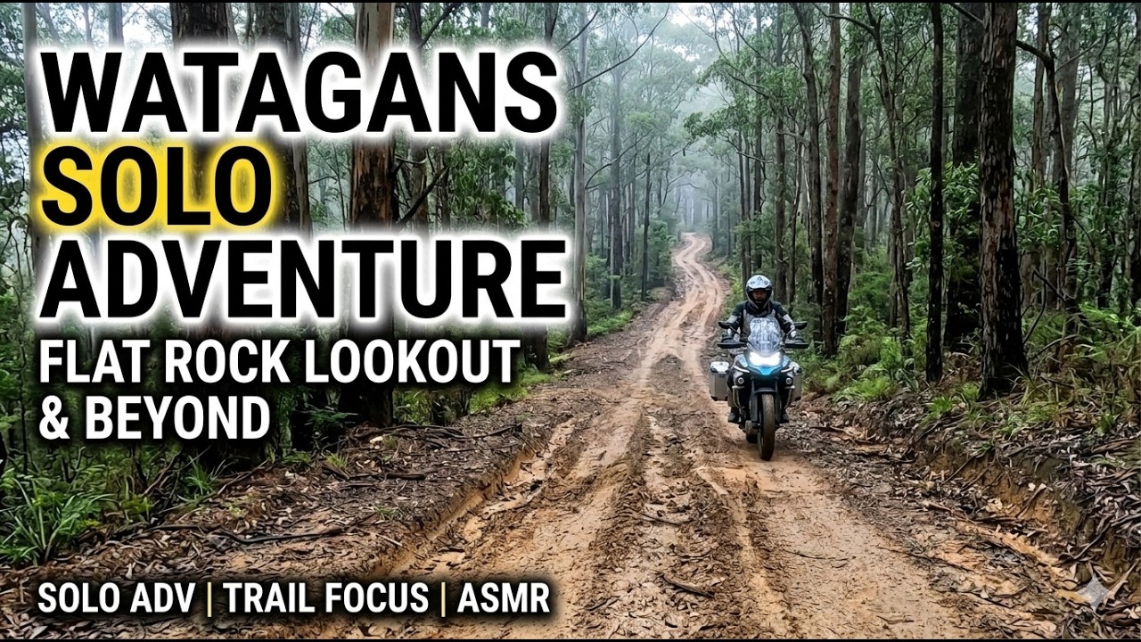 Adventure To Flat Rock Lookout & Through The Watagans State Forest Solo ADV Motorycle in 4k ASMR