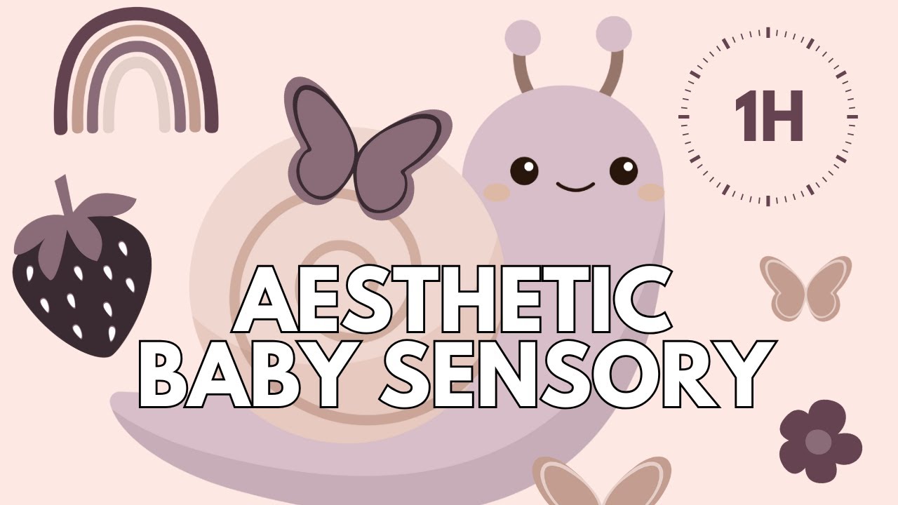 Morning Baby Sensory Video 🫐| Lavender Garden | Aesthetic Montessori Visuals & Calm Music | 1 HOUR