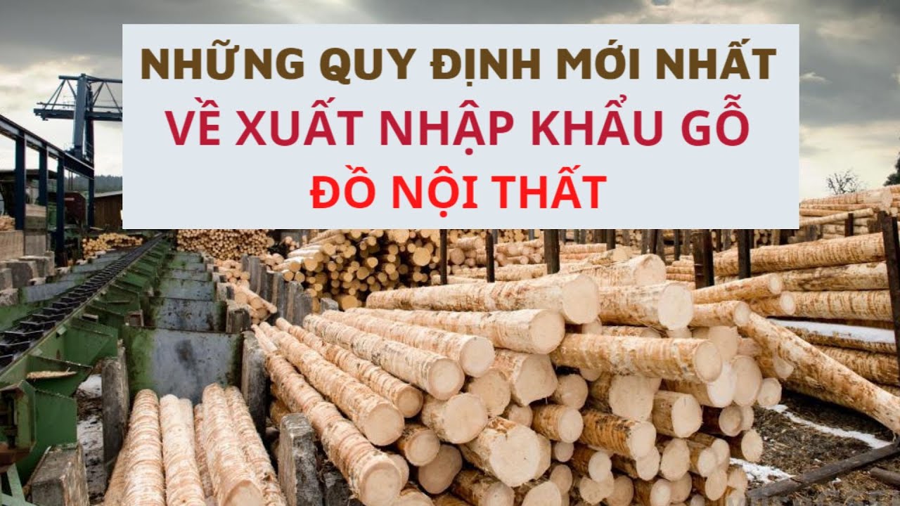 Những Lưu Ý Khi Xuất Nhập Khẩu Gỗ, Sản Phẩm Từ Gỗ - Quy Định Mới Nhất #shorts #short #youtubeshorts
